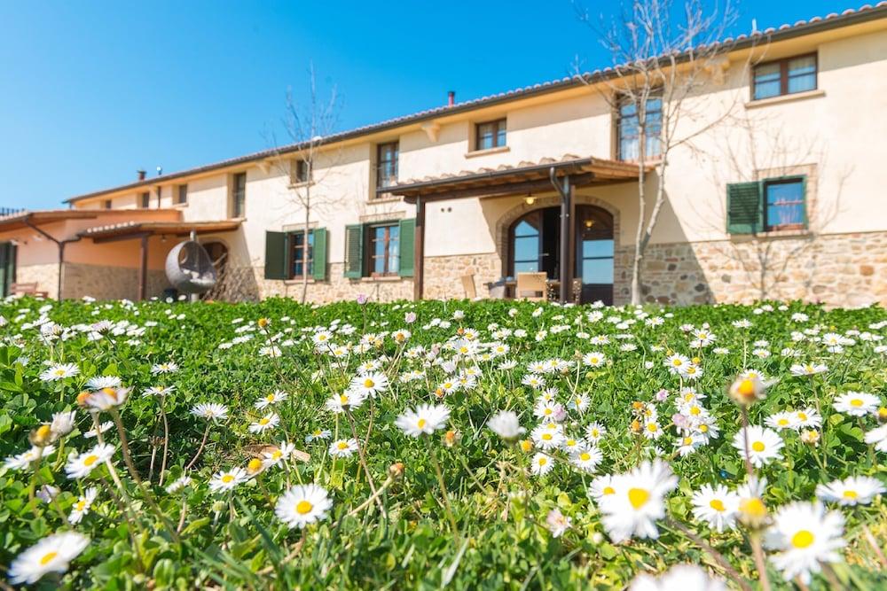 B&B Diacceroni Villamagna  エクステリア 写真